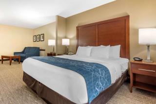 Comfort Suites Dayton-Wright Patterson - Dayton - 3