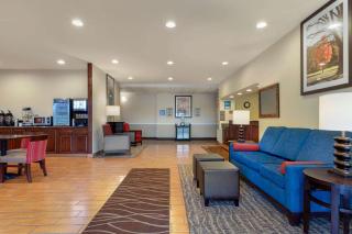 Comfort Inn US 60-63 - Willow Springs - 7