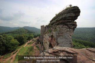 Hotel Waldblick BSR Garten mit Pavillons im Schwarzwald, ideal für Paare, Familien, Hunde - 1