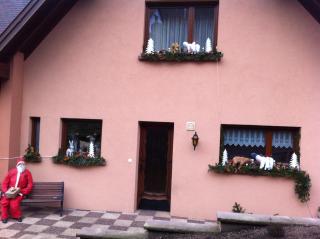 GITE CHEZ SYLVIE - Fréland - 4