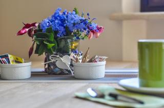 Bilocale in campagna - Assisi - 2