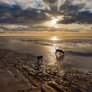 Norfolk Coastal Cottages - Heacham - 4