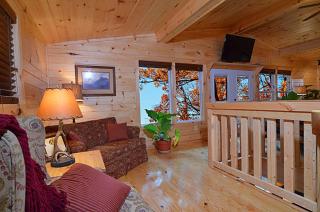 #820 Honeymoon Hideaway - Gatlinburg - 9