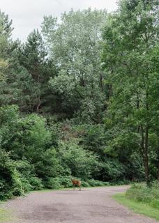 The Outing Lodge - Stillwater - 5