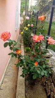 Apartments Villa Marija - Gornji Karin - 6