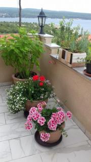 Apartments Villa Marija - Gornji Karin - 7