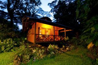 Walindi Plantation Resort - Kimbe - 8