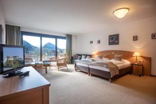 Aparthotel Andreas Hofer - Kufstein - 9