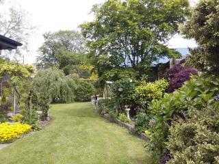 Down South Cottage - 7