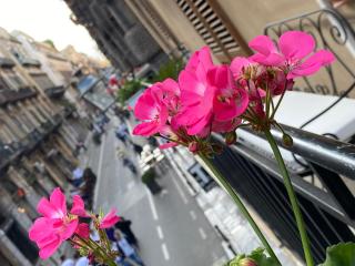 Al KAssaRO Vacanze a Palermo - Palermo - 1