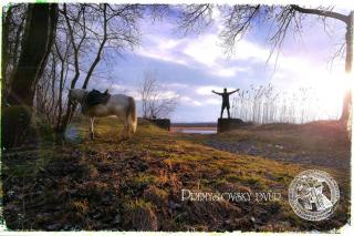 Přemyslovský dvůr - 1