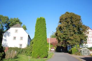 Ferienhaus Sprink Vulkaneifel - Strohn - 1