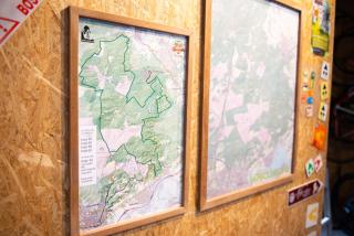 Sport B&B De Veluwezoom - Velp - 2