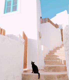 Azenhas do Mar West Coast Design and Surf Villas - Sintra - 3