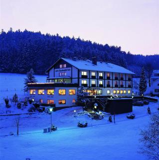 Natur & Wander Hotel Gassbachtal - Grasellenbach - 6