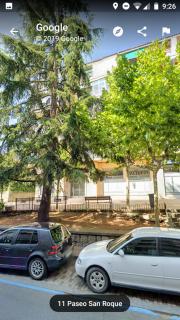 El Cedro Llorón - 6