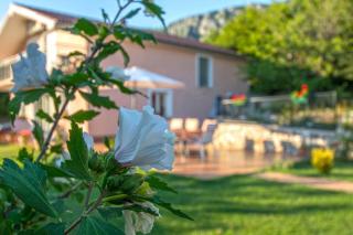 Villa Tereza - Grižane - 7