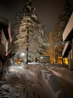 Apart-hotel Channa - Saas-Almagell - 7