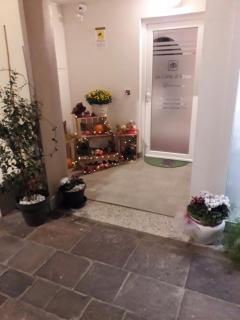 La Corte di Rosa - 5