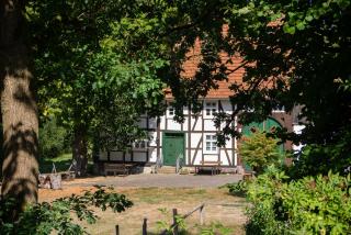 Suffelmühle - Bad Driburg - 9
