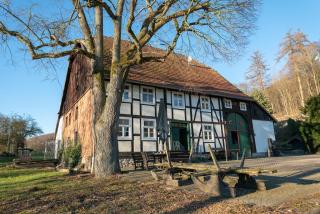Suffelmühle - Bad Driburg - 5