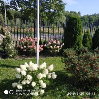 Pokoje gościnne " Przysiółek" - 9