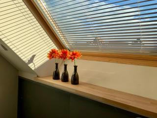 Historische Ferienwohnung mit Sauna und Dachterrasse - 7