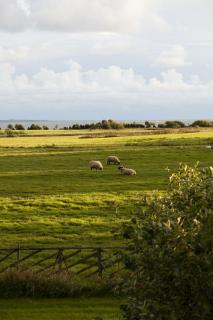 Toomalõuka Tourist Farm - 1