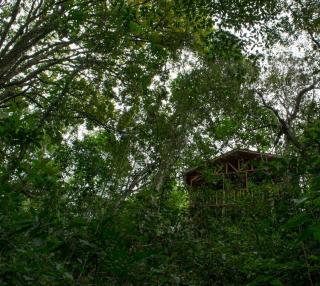 Cabañas El Coyote - 1