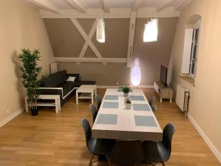 Historical town center spacious flat - Colmar - 6