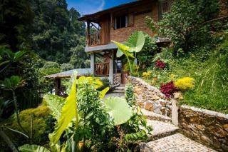 Garden Inn - Bukit Lawang - 3