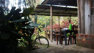 Kalitusi Nature Resort - Fort Portal - 2