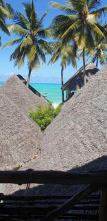 Organic Roots Villa - 0
