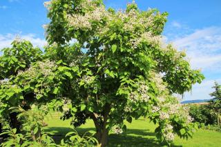 Müllers Hof Ferienwohnung/Pension - 8