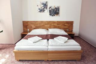Vila Encore - Valašské Meziříčí - 4