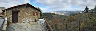 Casa da Vinha em Tabuaço - Douro - Tabuaço - 5