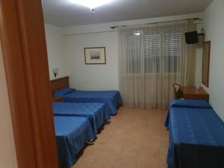 Park Hotel Villamaria - Pavona - 9