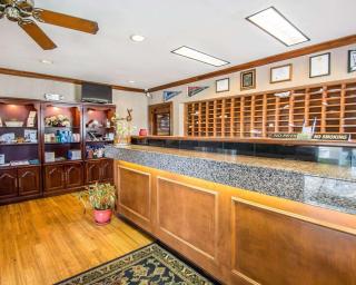 Tampa Bay Extended Stay - Airport - Tampa - 6