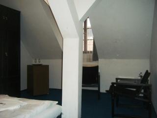 Hotel Parkán - Prachatice - 8