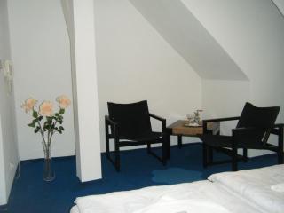 Hotel Parkán - Prachatice - 4