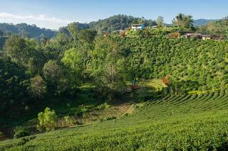 เลาลีฮิลล์รีสอร์ท Laulee hill resort - Chiang Rai - 3