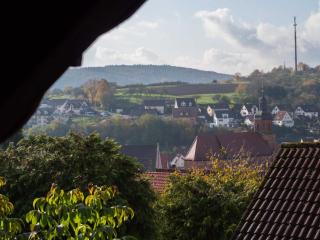 Ferienwohnung Moemlingtal - Momlingen - 7