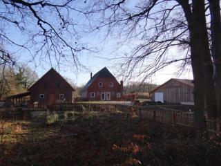 Hof Sonnengold - Osterholz-Scharmbeck - 2