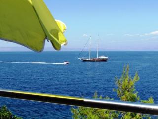 Holiday house Jakov - Gdinj - 0