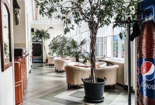 Dworek Brodowo Restauracja Hotel Przyjęcia - Brodowo - 7