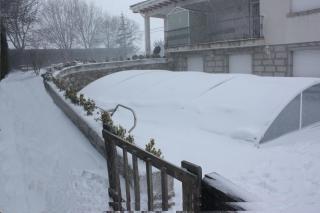 El Jardín de Alameda - 8