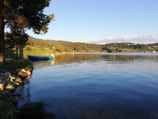 Divna Forest & Lake House - 6
