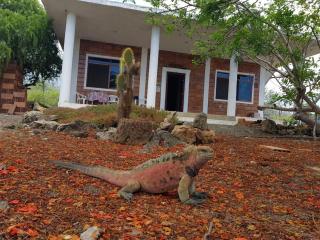 Black Beach House - Floreana - 1