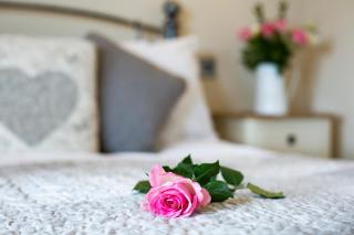 Accommodation Bristol Airport - 6