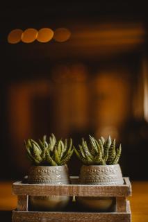 The Kings Head - New Buckenham - 5